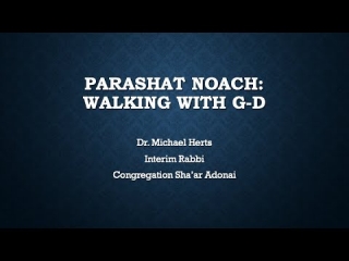 Noah - Walking with God, Michael Herts